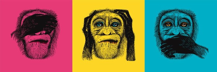 Poster Three monkeys, I don't see anything, I don't hear anything, I won't say anything to anyone. Allegory of ignoring problems and dangers. Three monkeys on a coloured background in the style of pop art