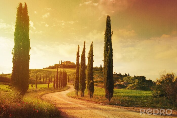 Poster Toscaans landschap in een artistieke foto