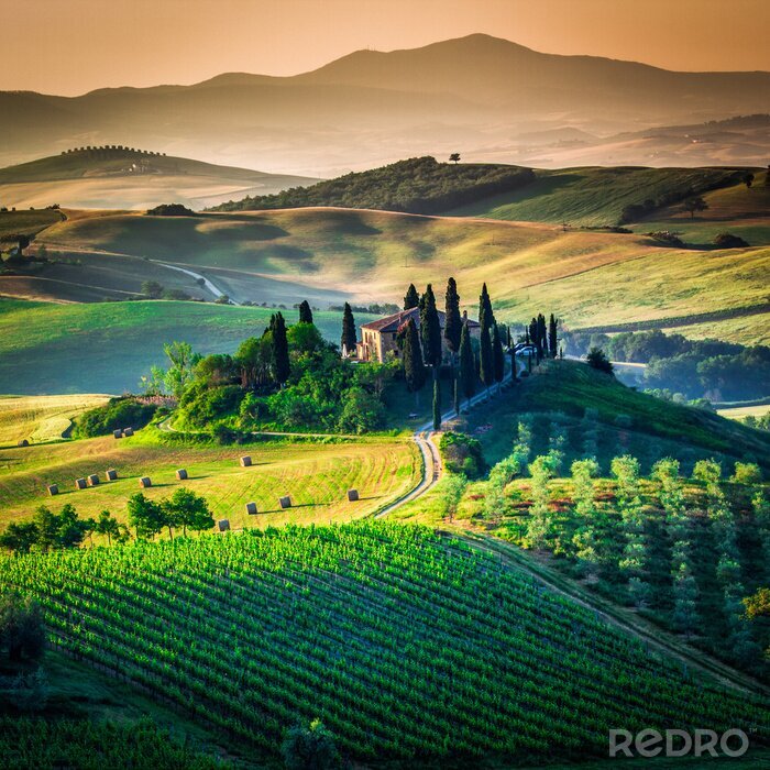 Poster Toscaanse land