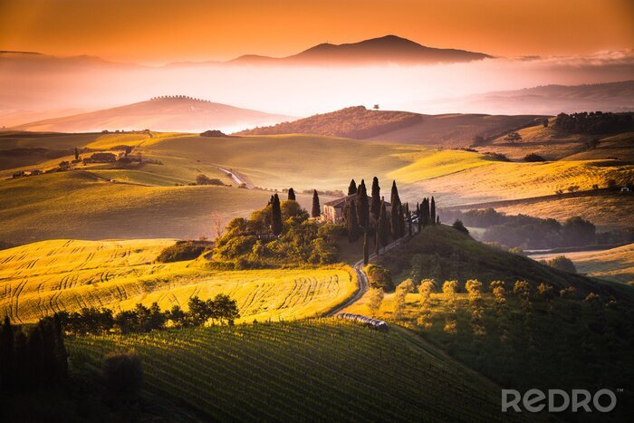 Poster Toscaanse Morning