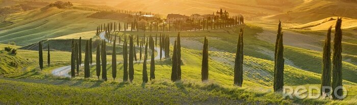 Poster Toscaanse wegen