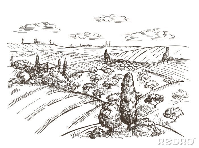 Poster Toscane landschap getekend in potlood