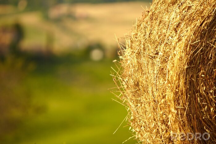 Poster Toscane Landschap met hooibalen