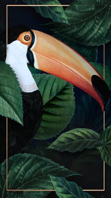 Toucan op een achtergrond van donkergroene bladeren