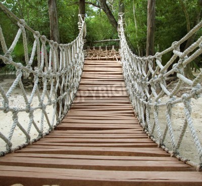 Fotobehang Touwbrug in de jungle