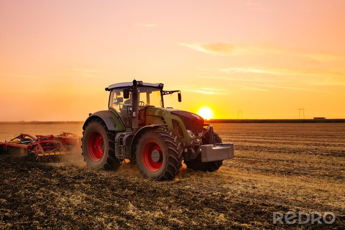 Poster Tractor in een gerstveld bij zonsondergang