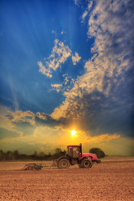 Poster Tractor in het veld