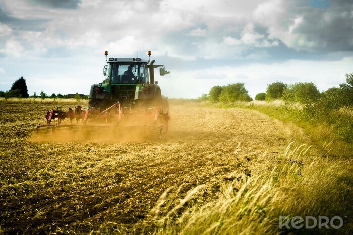 Poster Tractor ploegt het veld