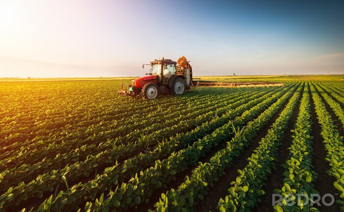 Poster Tractor spuiten sojaboon veld in de lente