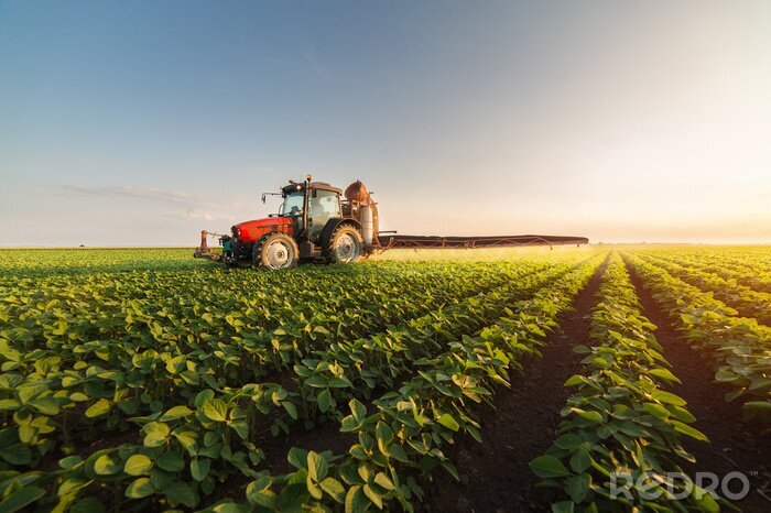 Poster Tractor spuiten sojaboon veld in de lente