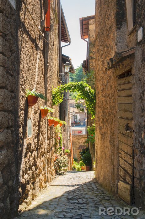 Poster Traditionele Italiaanse huizen