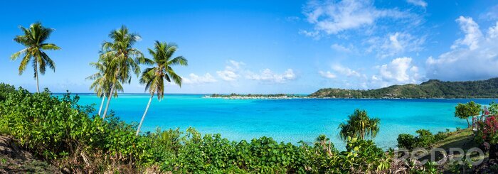 Poster Tropisch panorama