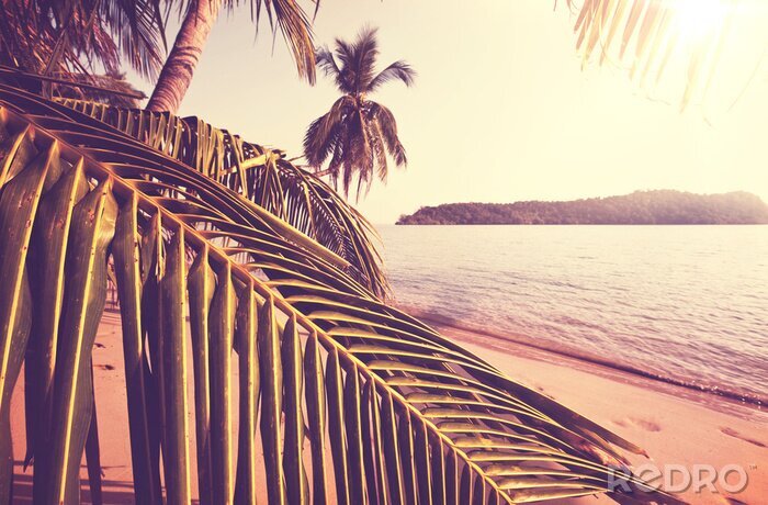 Poster Tropisch strand