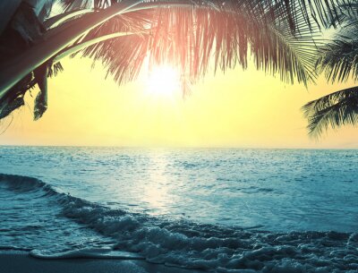 Poster Tropisch strandlandschap onder palmbomen