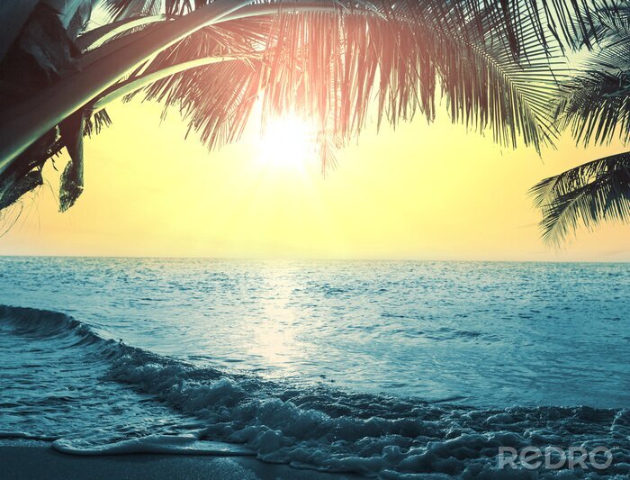 Poster Tropisch strandlandschap onder palmbomen