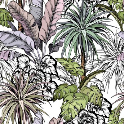 Tropische bladeren en palmbomen