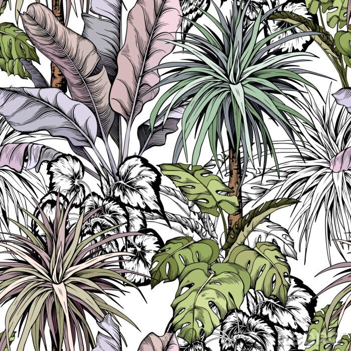 Poster Tropische bladeren en palmbomen