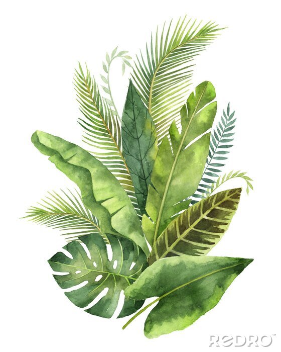 Poster Tropische bladeren vormen een artistieke compositie