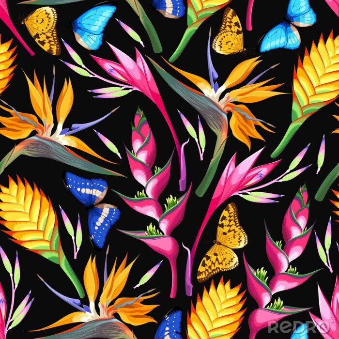 Poster Tropische kleuren