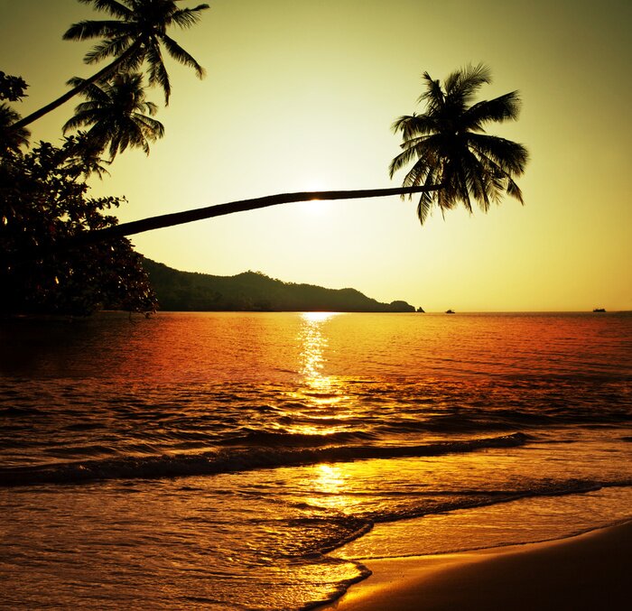 Poster Tropische natuur rondom het strand