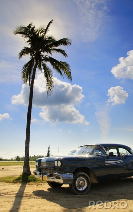 Poster Tropische Oldtimer