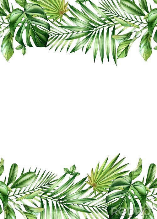 Poster Tropische planten in twee rijen