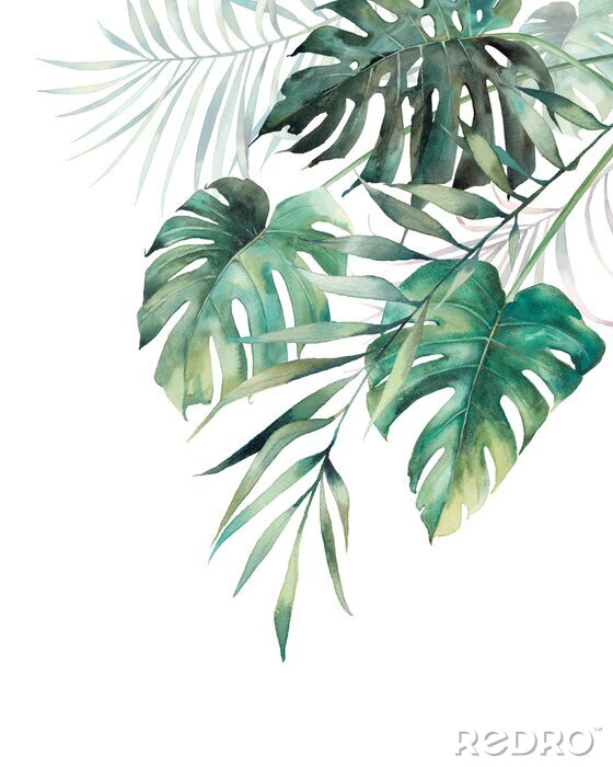 Poster Tropische planten in verschillende vormen en kleuren