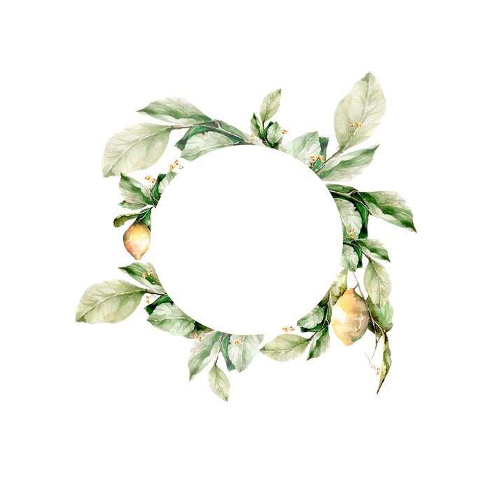 Poster Tropische planten met opvallende bladeren