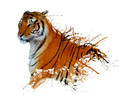 Poster Trotse tijger op een witte achtergrond