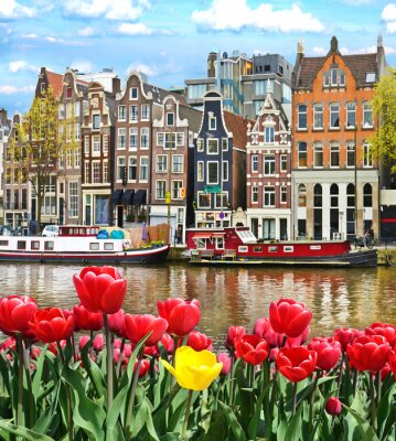 Poster Tulpen in Amsterdam