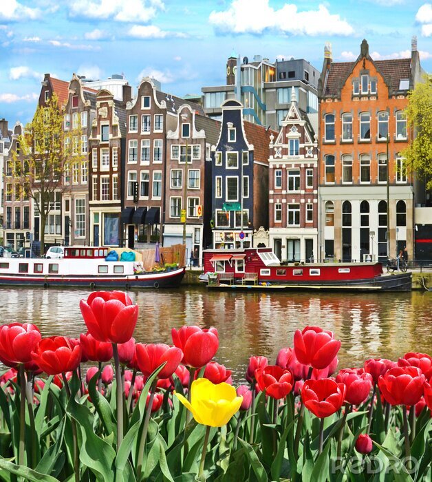 Poster Tulpen in Amsterdam