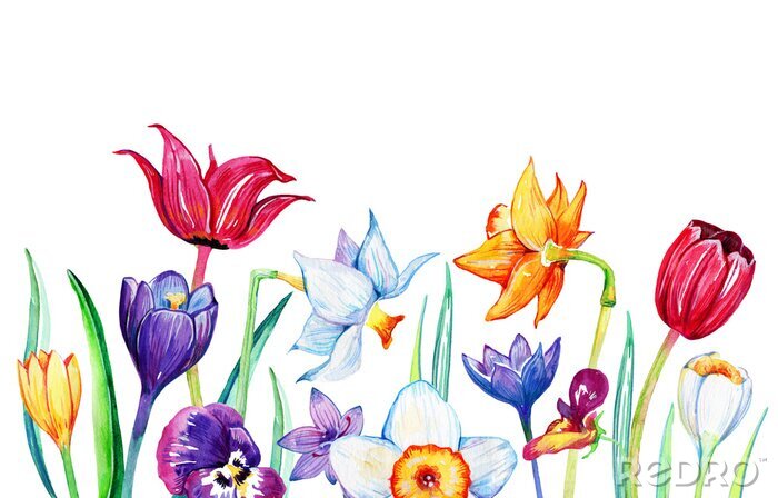 Poster Tulpen, narcissen en viooltjes geschetste compositie