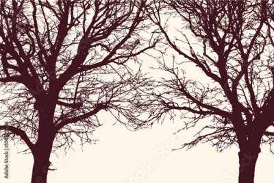 Poster Twee kale bomen met bladloze kruinen.