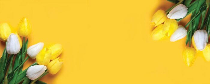 Poster Tweekleurige tulpen op een gele achtergrond