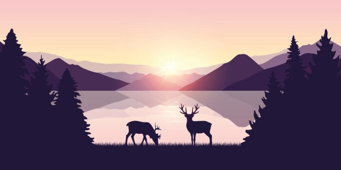 Poster two reindeers by the lake at sunrise wildlife nature landscape vector illustration EPS10