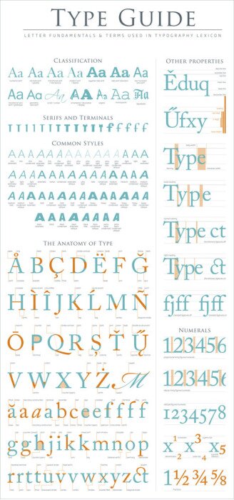 Poster Type anatomie gids