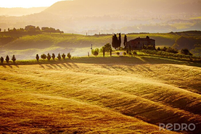 Poster typische landschap van Toscanië, Italië