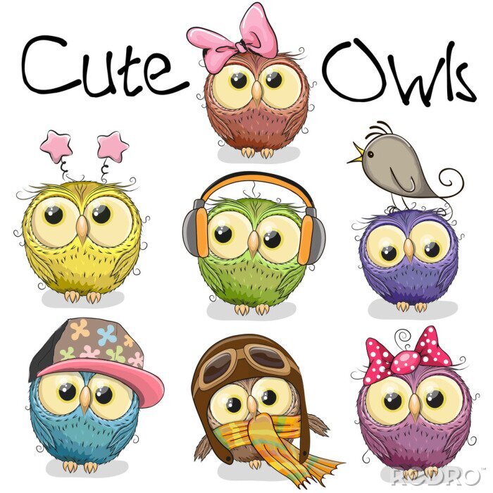 Poster Uilen voor kinderen in verschillende varianten