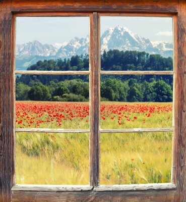 Uitzicht vanuit het raam