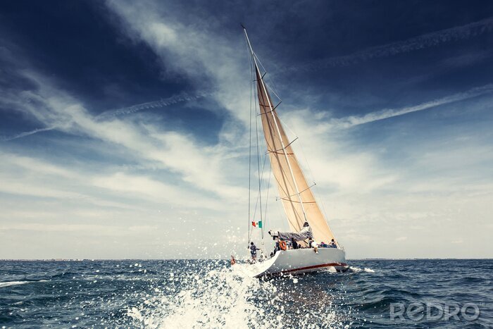 Poster Vakantie cruise