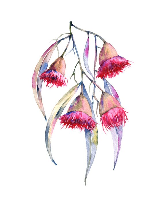 Poster Vallende roze aquarel bloemen