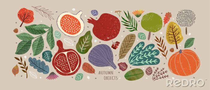 Poster Vector illustrations of autumn objects: fruits and vegetables, harvest, trees, leaves, plants, pumpkin, pomegranates, figs and nuts. Cute freehand drawings to create a poster or card.