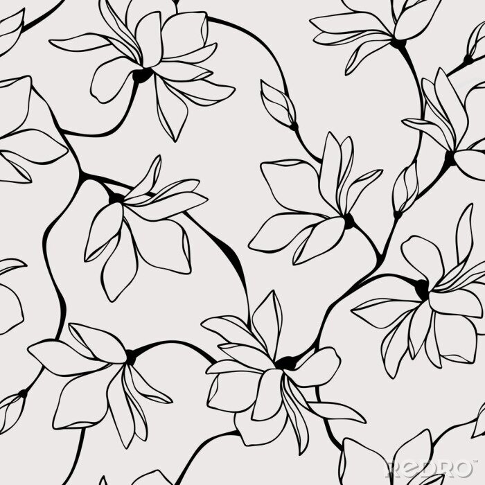 Poster Vector seamless floral pattern with magnolia flowers. Line art illustration.