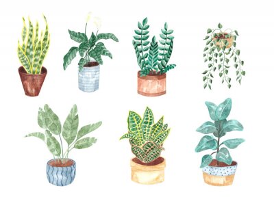 Poster Veelkleurige planten in kleurrijke potten