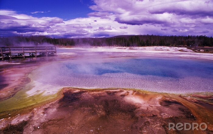 Poster Velden en warm water