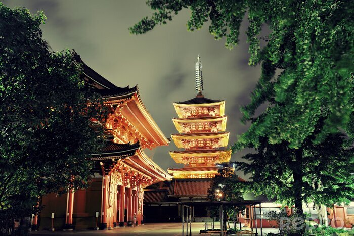 Poster Verlichte tempel in Tokio