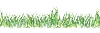 Poster Vers groen gras - naadloos patroon. Waterverfhand getrokken die het schilderen illustratie op een witte achtergrond wordt geïsoleerd. Zomer met gras begroeide element voor ontwerp, natuur landschap. O