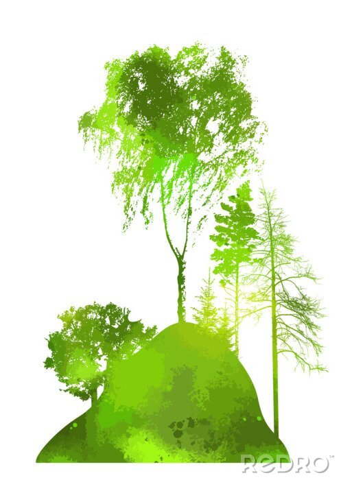 Poster Verschillende soorten groene bomen op een heuvel