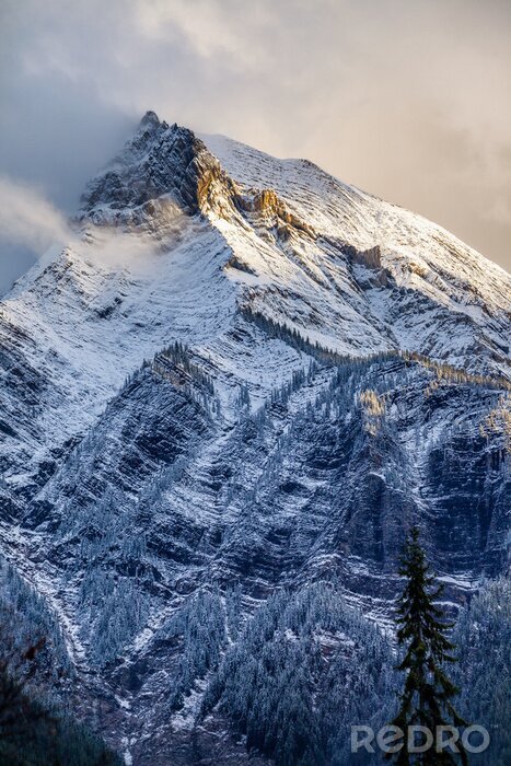 Poster Verse sneeuw op een bergtop in de Canadese Rockies, Britse C