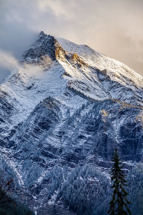 Poster Verse sneeuw op een bergtop in de Canadese Rockies, Britse C